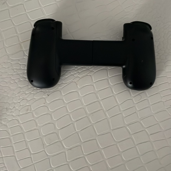 Back bone - Picture 4 of 5